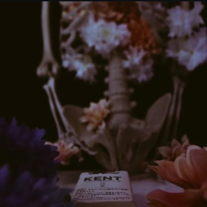 藍澤つかさが撮影した「:albumName」の写真