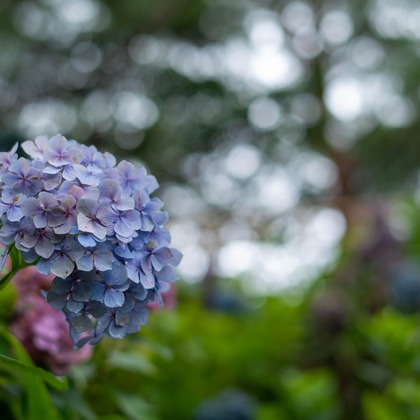 藤井が撮影したイベント/スナップ撮影の写真