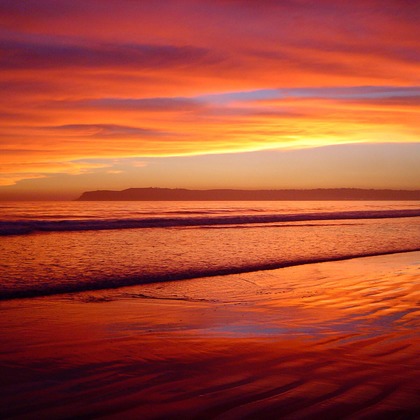 Orihusta photographyが撮影した料理撮影の写真