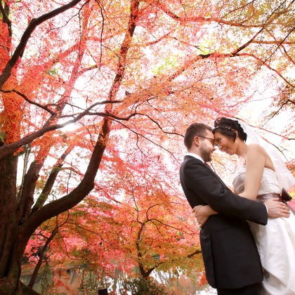 Photo of :albumName taken by Hayashi Photo Works