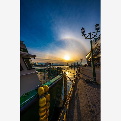 高木勇斗が撮影した「:albumName」の写真