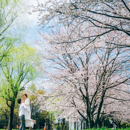 Photo of :albumName taken by t_pictures