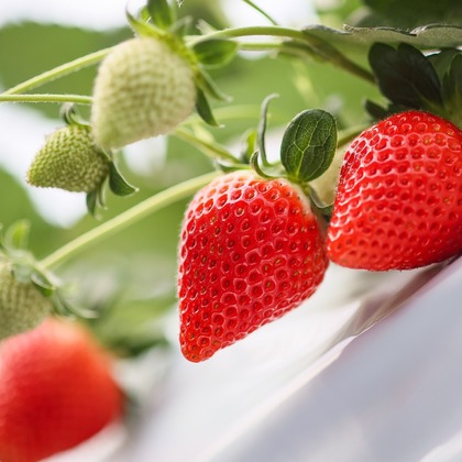 株式会社Neo-Smile 「locationbreeze」高橋 徹が撮影した「:albumName」の写真