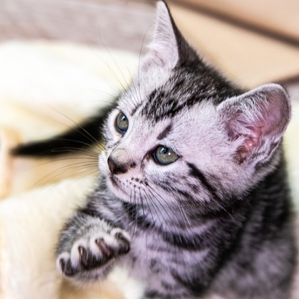 本郷直人が撮影した「:albumName」の写真