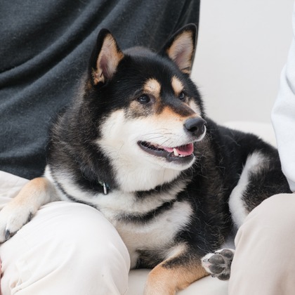 高夏写真店が出張撮影した「家族写真の撮影」の家族写真