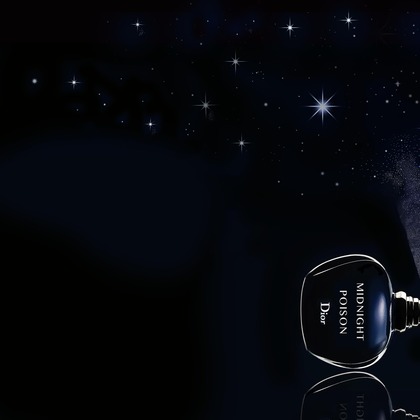 高橋　良が撮影した「:albumName」の写真