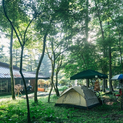 Aya Petite Photographyが撮影した「:albumName」の写真