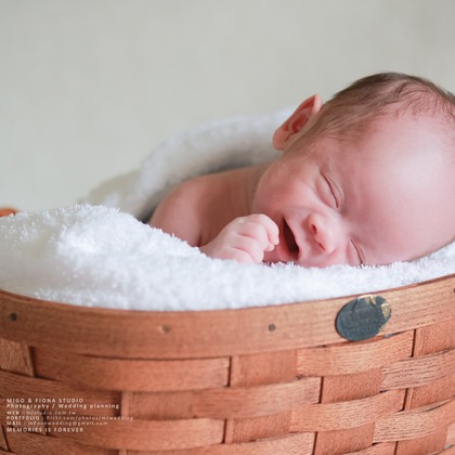 MF STUDIO Migoが撮影した「:albumName」の写真