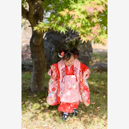 北野隼人が撮影した「:albumName」の写真