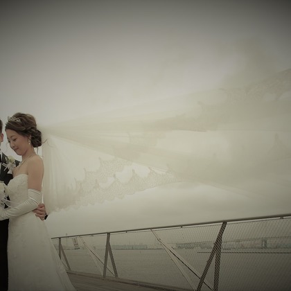 Photographer  Tomoが撮影したウェディングや家族、ビジネスの写真