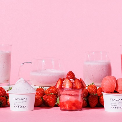 Find values photo　松岡嗣時が撮影した「:albumName」の写真