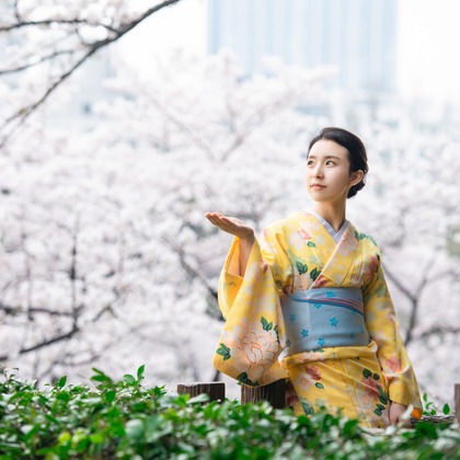 アラタンホヤガが撮影した「:albumName」の写真