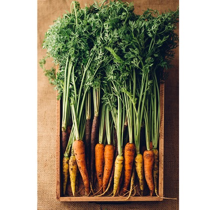 舩津　孝が撮影した「:albumName」の写真