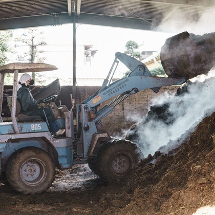 studio cactusが撮影した「:albumName」の写真