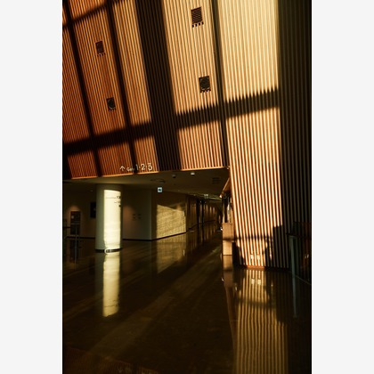 倉木ノエルが撮影した「:albumName」の写真