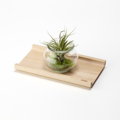 ディス・ワンが撮影した商品/物撮りの写真