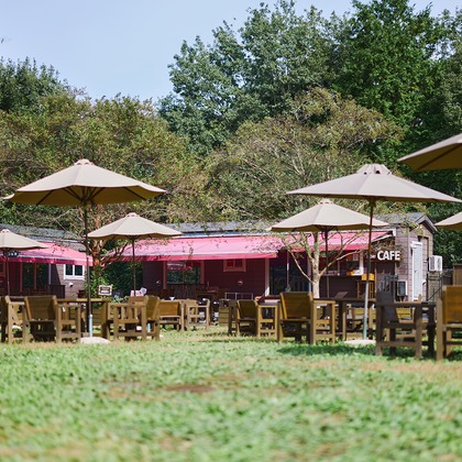 Shun Kanazawaが撮影した「:albumName」の写真