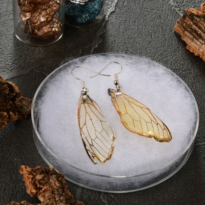 日高恵が撮影した「自宅スタジオ」の写真