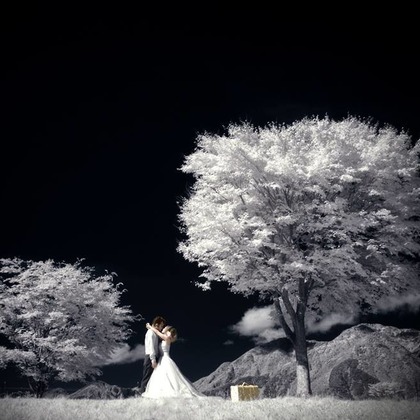 RANMARU  STYLEが撮影したウェディングや家族、ビジネスの写真