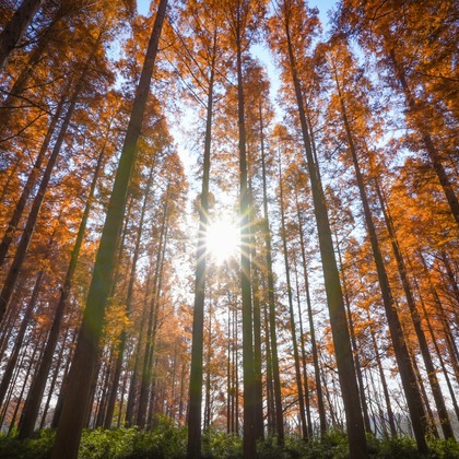 photographerTAKASUが撮影したその他の写真