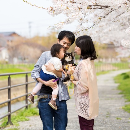 ヤマダフォトが撮影した「:albumName」の写真