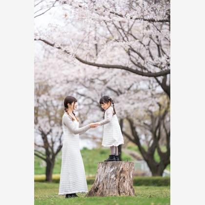 Tempstendreが撮影した「:albumName」の写真