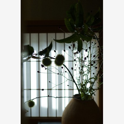 ノーザンスタジオが撮影したイベント/スナップ撮影の写真