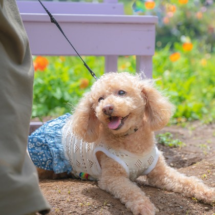 高木勇斗が撮影したイベント/スナップ撮影の写真