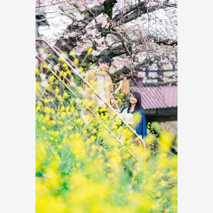 Photo of :albumName taken by フォトくま