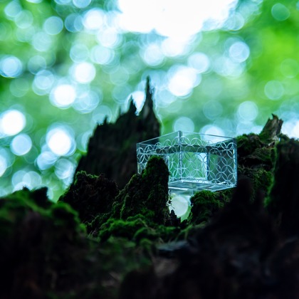 maruが撮影した「:albumName」の写真