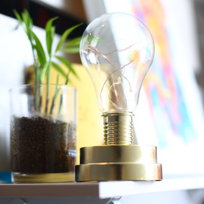 タカラモノ.foto　群馬の出張撮影カメラマンが撮影した「:albumName」の写真