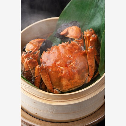 伊東武志が撮影した「:albumName」の写真