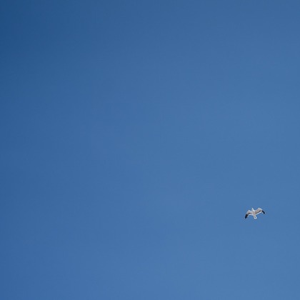 Photo of :albumName taken by yuri uemura