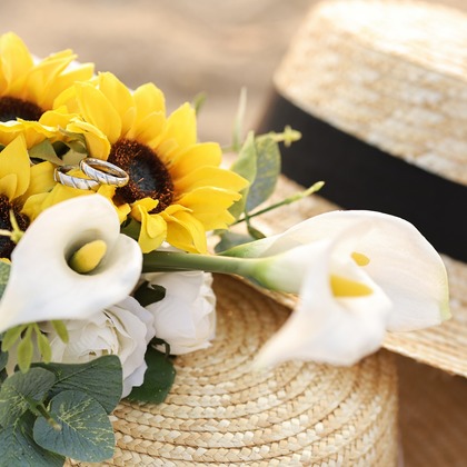 濱野瞬写真事務所が撮影した「:albumName」の写真