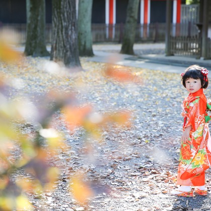 KOMOREBI Photo.　大如　耕平が撮影した七五三フォトの写真