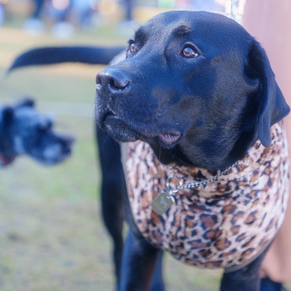 牧野 政宏が撮影したウェディングや家族、ビジネスの写真