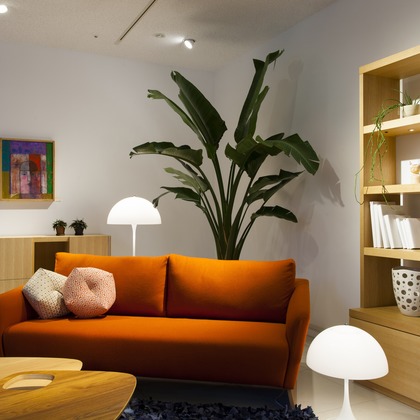 松鹿舎が撮影した「:albumName」の写真