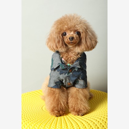 O.C.Photo.Studioが撮影したウェディングや家族、ビジネスの写真