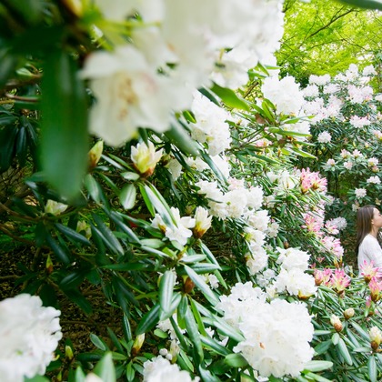 Feel So High! Kenichi Morinaga photography（森永 健一）が撮影したウェディングや家族、ビジネスの写真