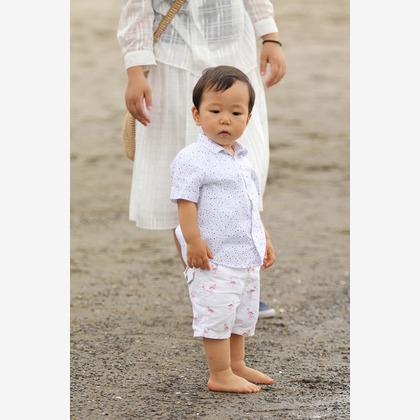 今井写真事務所　今井　良が撮影した「:albumName」の写真