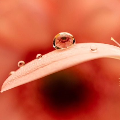 河野慈圓が撮影した商品/物撮りの写真