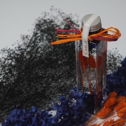 tkphotoが撮影した「:albumName」の写真