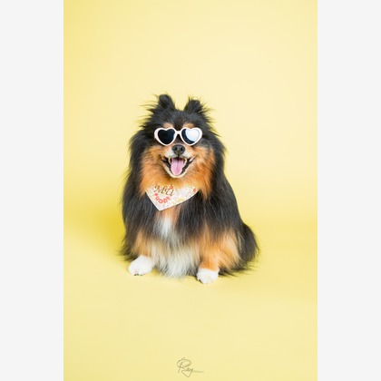 Ray Yamaguchiが撮影した「:albumName」の写真