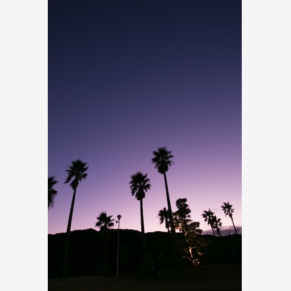 下田　東急ホテルが撮影した「:albumName」の写真