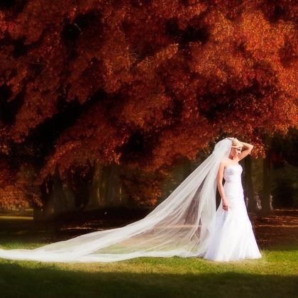 Photo of :albumName taken by Wedding Photography Dubai