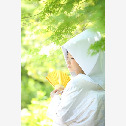 Photo of :albumName taken by Studio 8