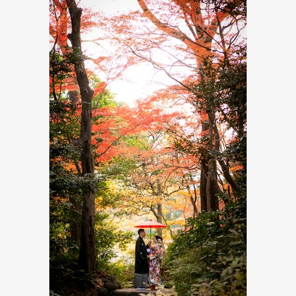 小林が撮影した「:albumName」の写真