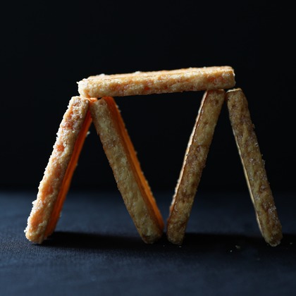 手塚大介が撮影した「:albumName」の写真