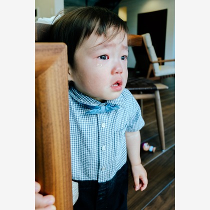 MIFUNEが撮影した「:albumName」の写真