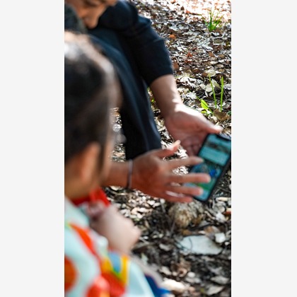 心綴フィルムが撮影した「:albumName」の写真